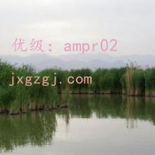 ʧ