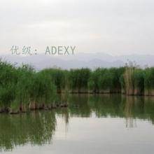 Բ